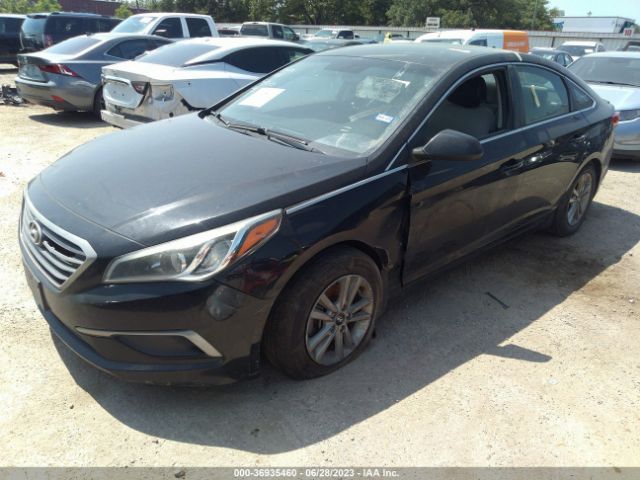 Photo 1 VIN: 5NPE24AF9GH291895 - HYUNDAI SONATA 