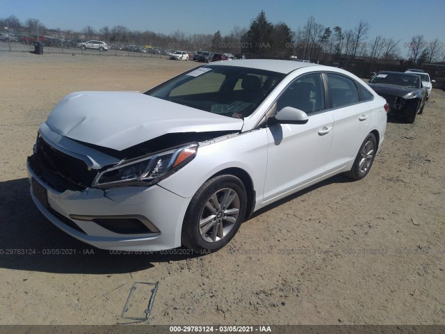 Photo 1 VIN: 5NPE24AF9GH294490 - HYUNDAI SONATA 