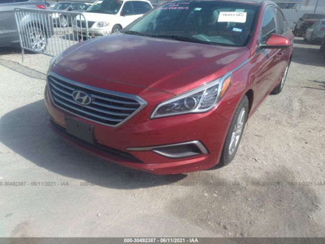 Photo 5 VIN: 5NPE24AF9GH305617 - HYUNDAI SONATA 