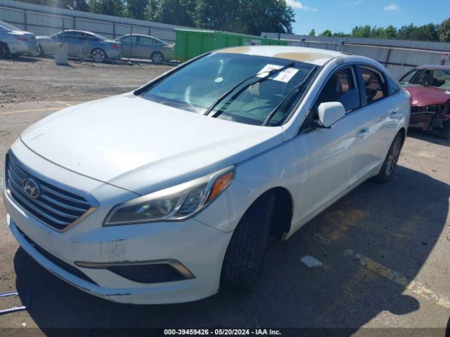 Photo 1 VIN: 5NPE24AF9GH316715 - HYUNDAI SONATA 