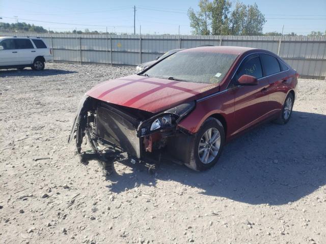 Photo 1 VIN: 5NPE24AF9GH336771 - HYUNDAI SONATA SE 