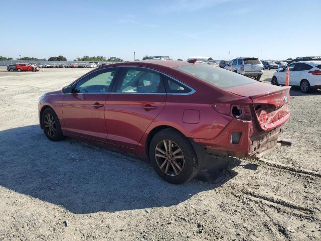 Photo 1 VIN: 5NPE24AF9GH347852 - HYUNDAI SONATA 