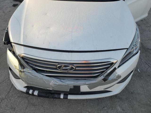 Photo 10 VIN: 5NPE24AF9GH371374 - HYUNDAI SONATA SE 