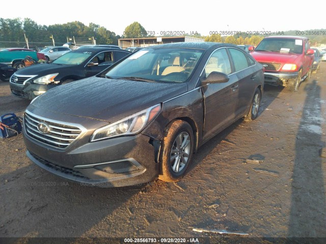 Photo 1 VIN: 5NPE24AF9GH378437 - HYUNDAI SONATA 