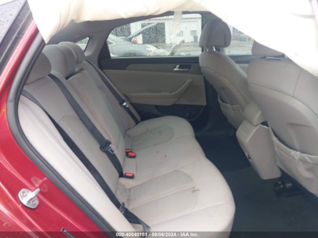 Photo 7 VIN: 5NPE24AF9GH399840 - HYUNDAI SONATA 