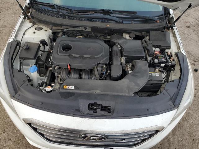 Photo 10 VIN: 5NPE24AF9GH404826 - HYUNDAI SONATA 