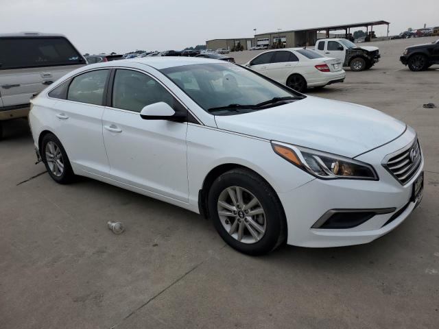 Photo 3 VIN: 5NPE24AF9GH411839 - HYUNDAI SONATA SE 