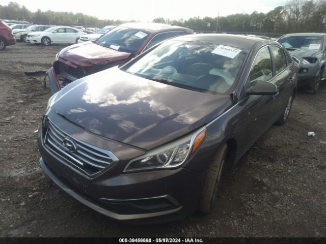 Photo 1 VIN: 5NPE24AF9HH438234 - HYUNDAI SONATA 