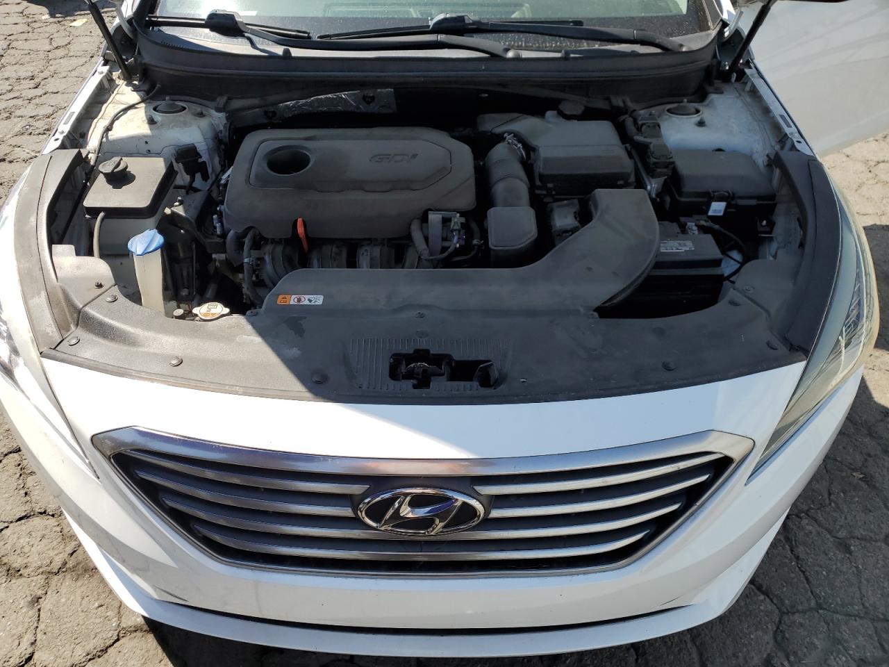 Photo 10 VIN: 5NPE24AF9HH439965 - HYUNDAI SONATA 