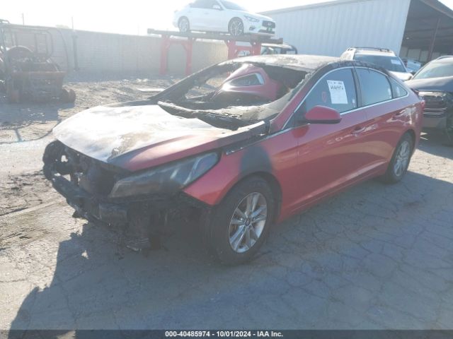 Photo 1 VIN: 5NPE24AF9HH455177 - HYUNDAI SONATA 