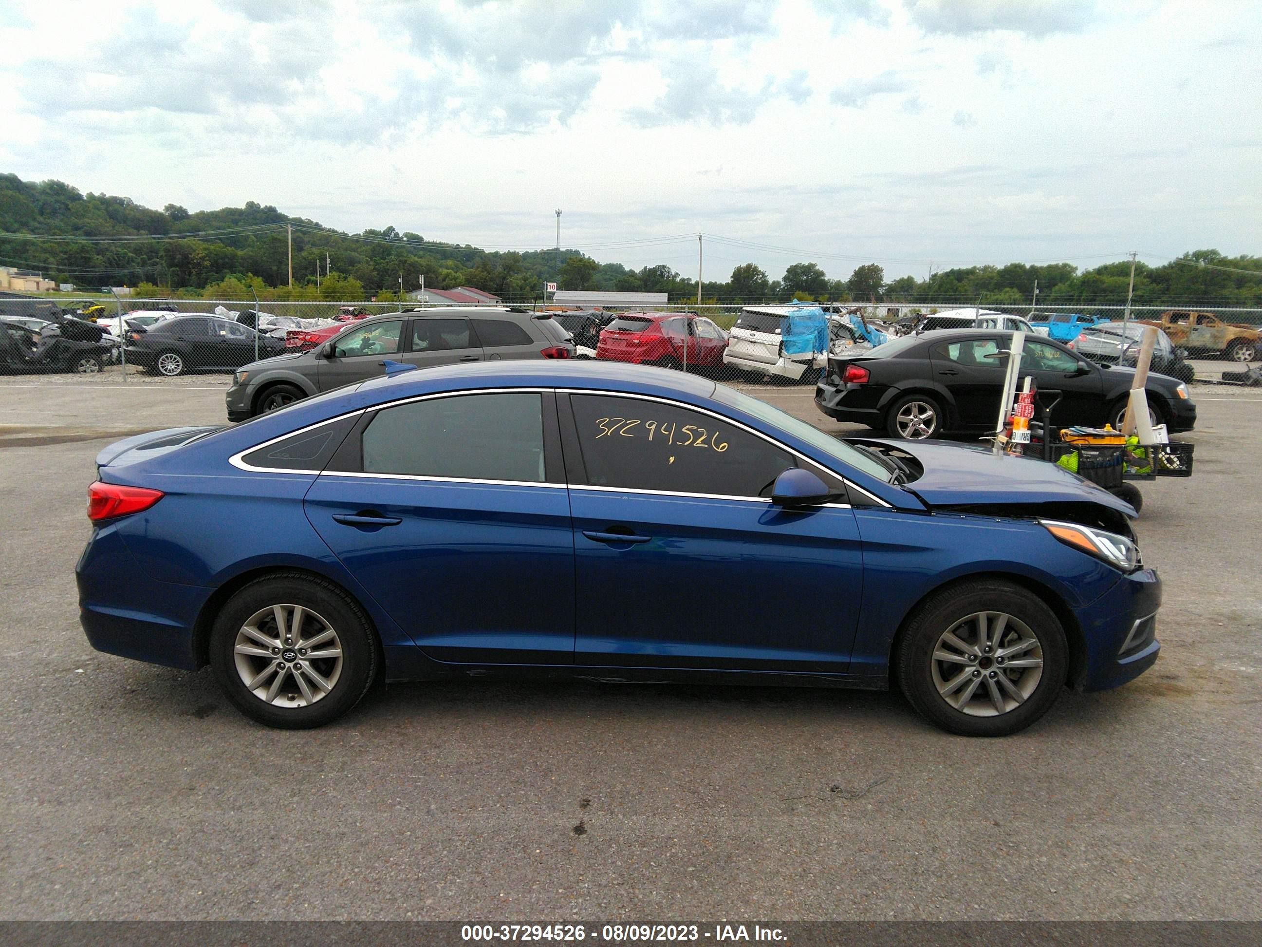 Photo 12 VIN: 5NPE24AF9HH460234 - HYUNDAI SONATA 