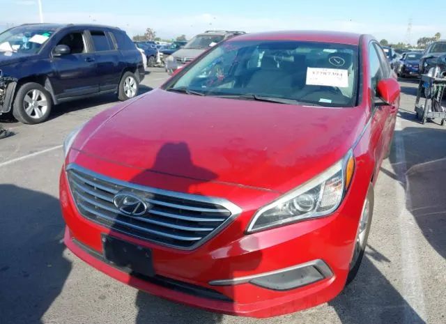 Photo 5 VIN: 5NPE24AF9HH490415 - HYUNDAI SONATA 