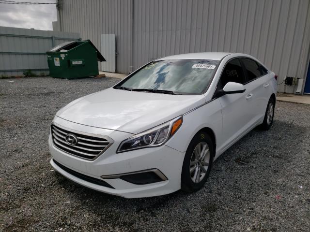 Photo 1 VIN: 5NPE24AF9HH490768 - HYUNDAI SONATA SE 