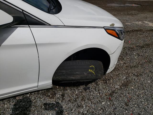 Photo 8 VIN: 5NPE24AF9HH490768 - HYUNDAI SONATA SE 