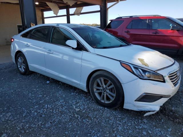 Photo 3 VIN: 5NPE24AF9HH490768 - HYUNDAI SONATA SE 