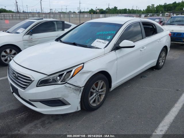 Photo 5 VIN: 5NPE24AF9HH492018 - HYUNDAI SONATA 