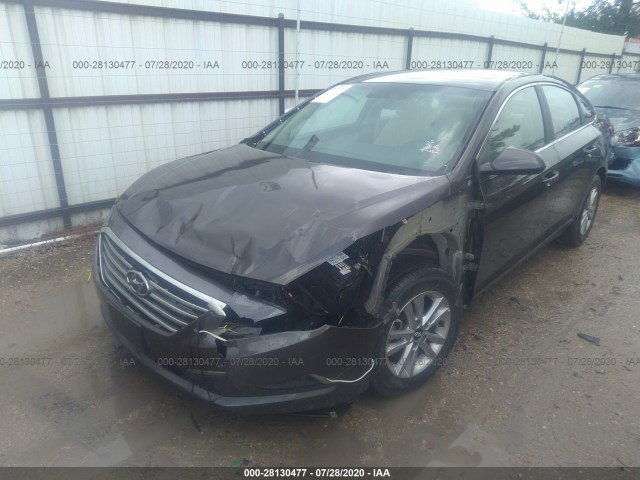 Photo 1 VIN: 5NPE24AF9HH492049 - HYUNDAI SONATA 