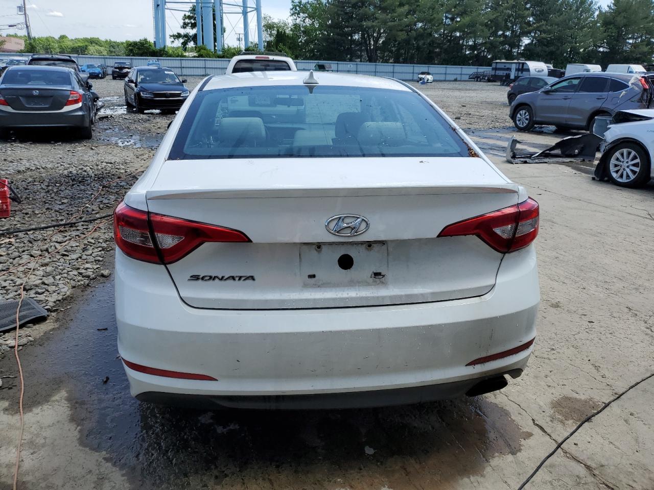 Photo 5 VIN: 5NPE24AF9HH498787 - HYUNDAI SONATA 