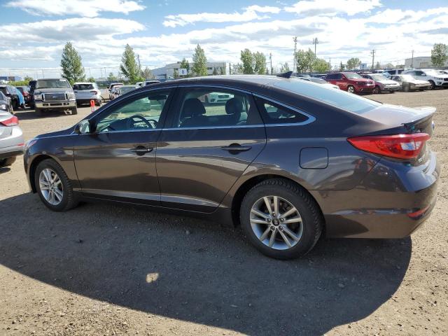 Photo 1 VIN: 5NPE24AF9HH499387 - HYUNDAI SONATA 