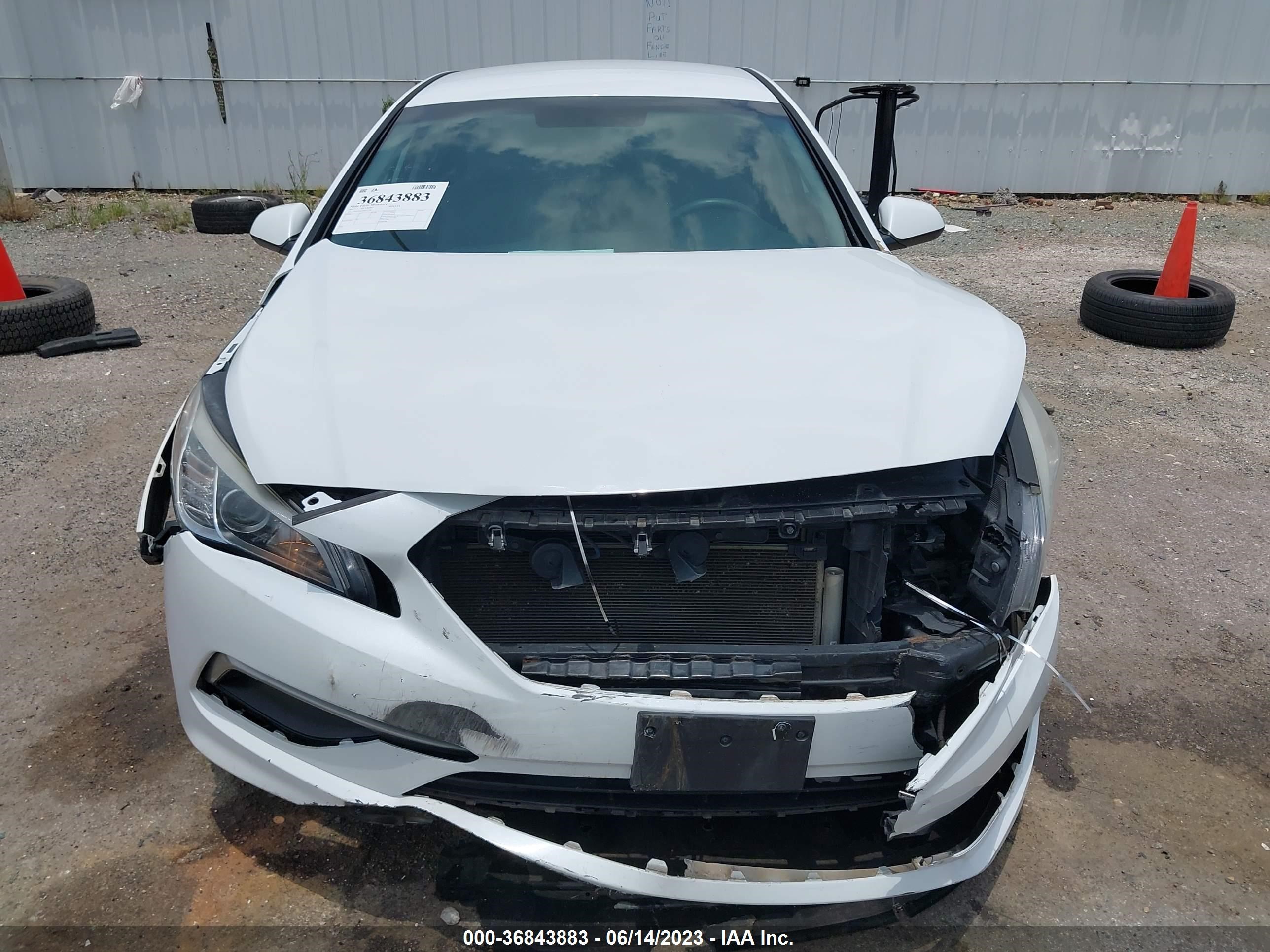 Photo 11 VIN: 5NPE24AF9HH511781 - HYUNDAI SONATA 