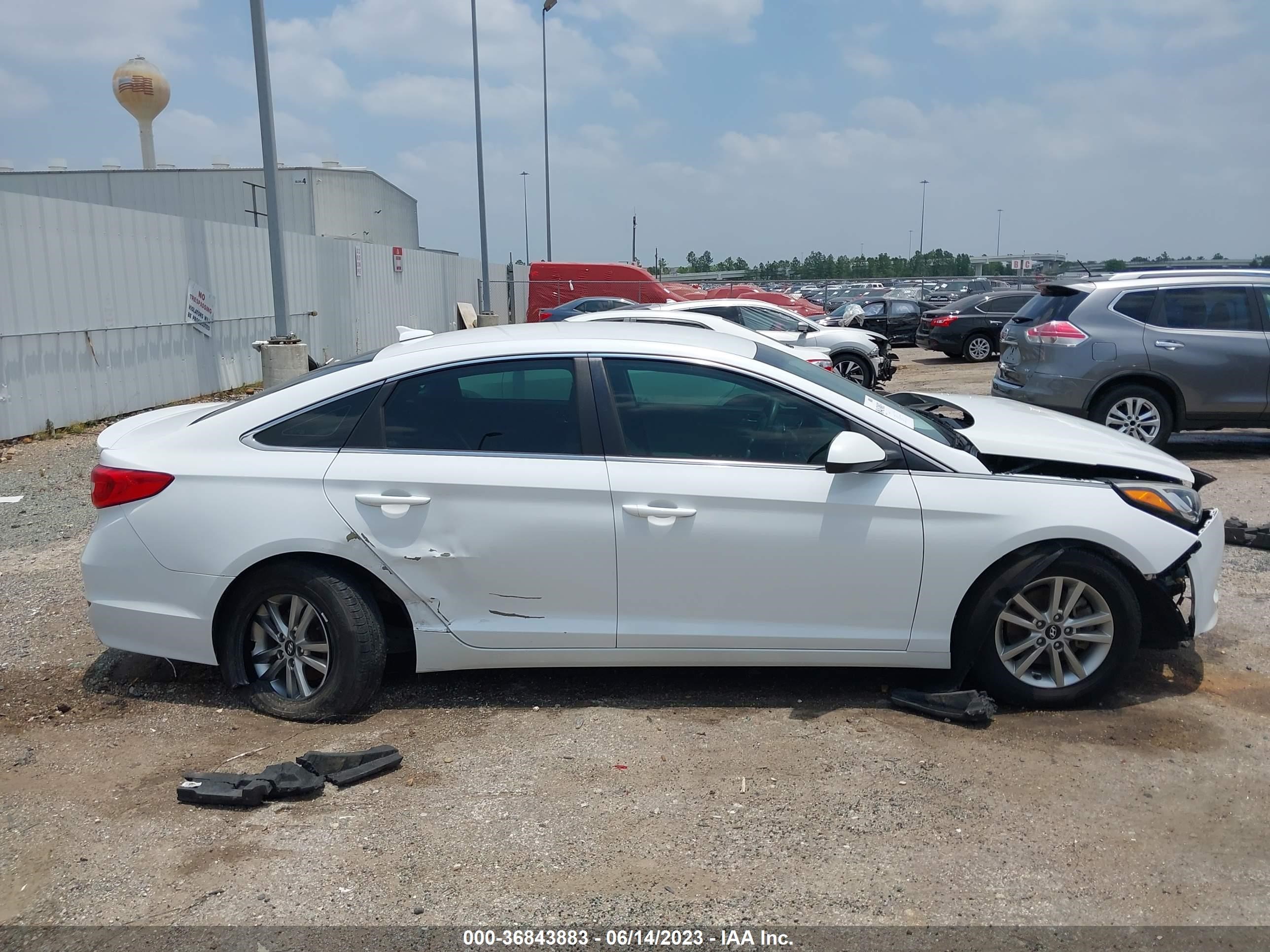 Photo 12 VIN: 5NPE24AF9HH511781 - HYUNDAI SONATA 