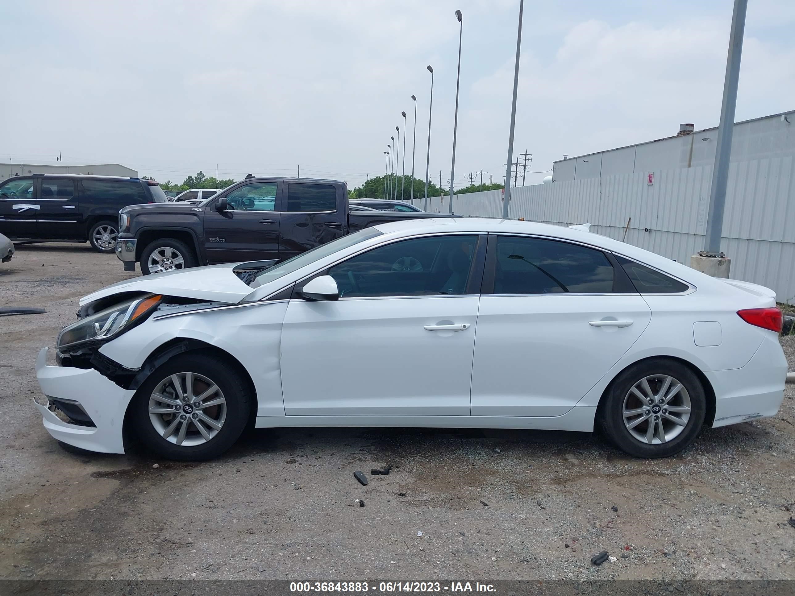 Photo 13 VIN: 5NPE24AF9HH511781 - HYUNDAI SONATA 