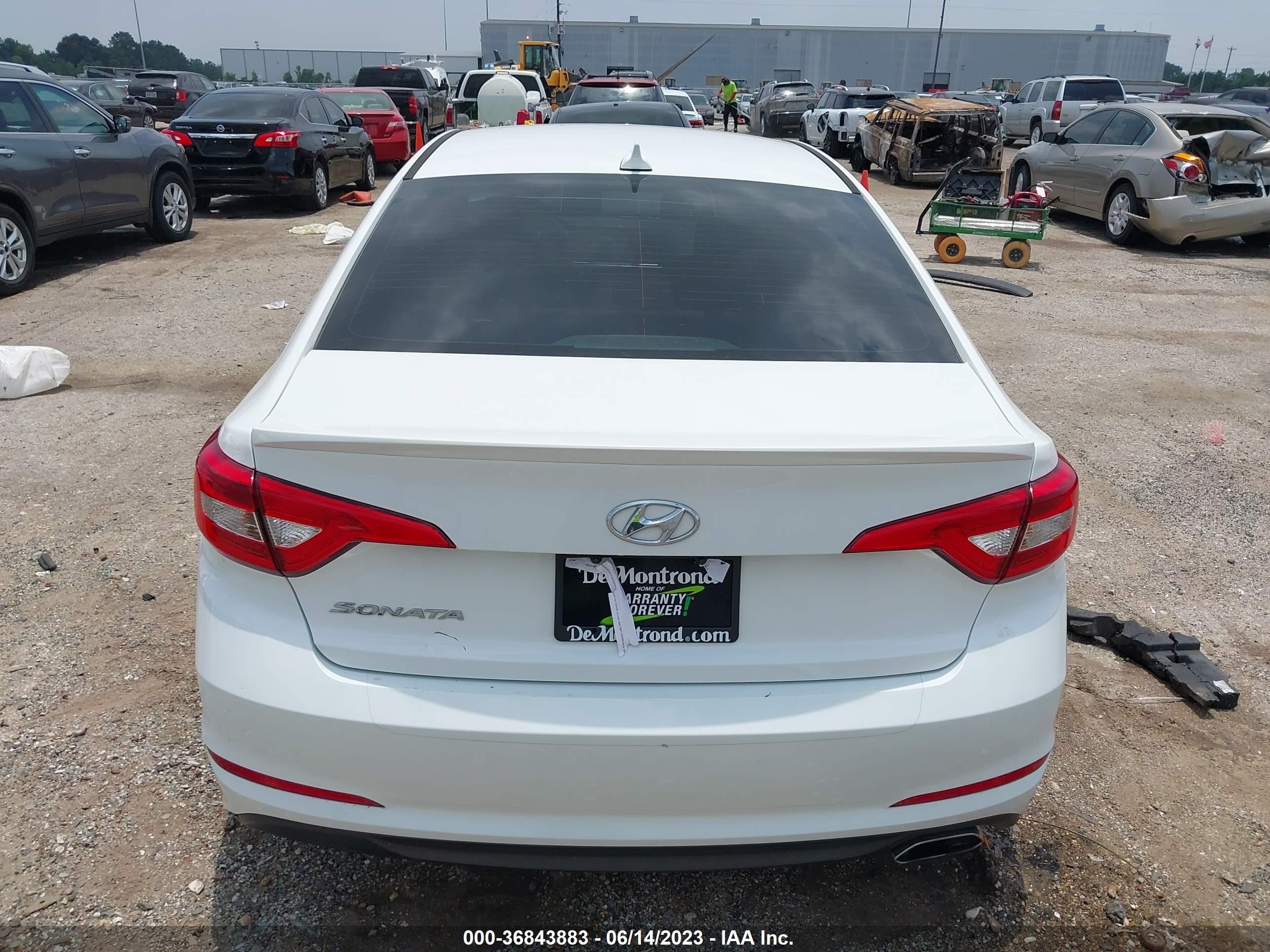 Photo 15 VIN: 5NPE24AF9HH511781 - HYUNDAI SONATA 