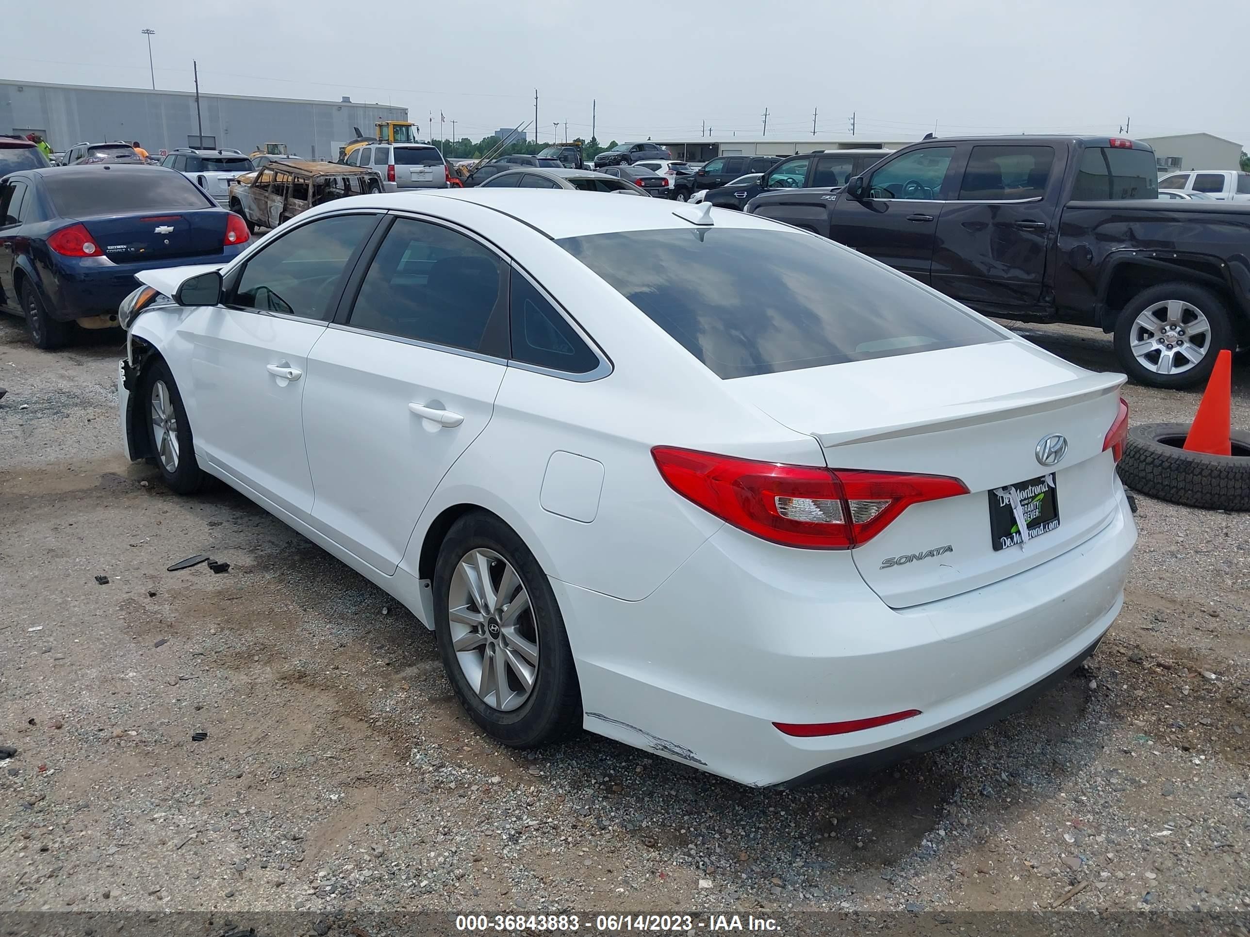 Photo 2 VIN: 5NPE24AF9HH511781 - HYUNDAI SONATA 