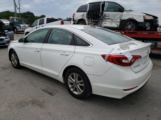 Photo 1 VIN: 5NPE24AF9HH516916 - HYUNDAI SONATA SE 