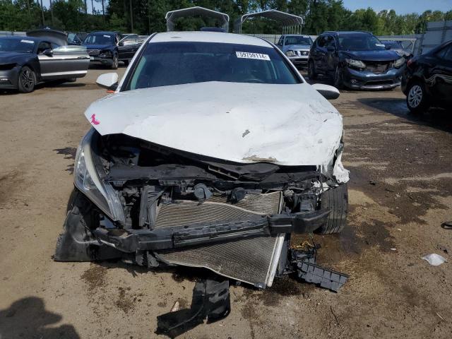 Photo 4 VIN: 5NPE24AF9HH519296 - HYUNDAI SONATA 