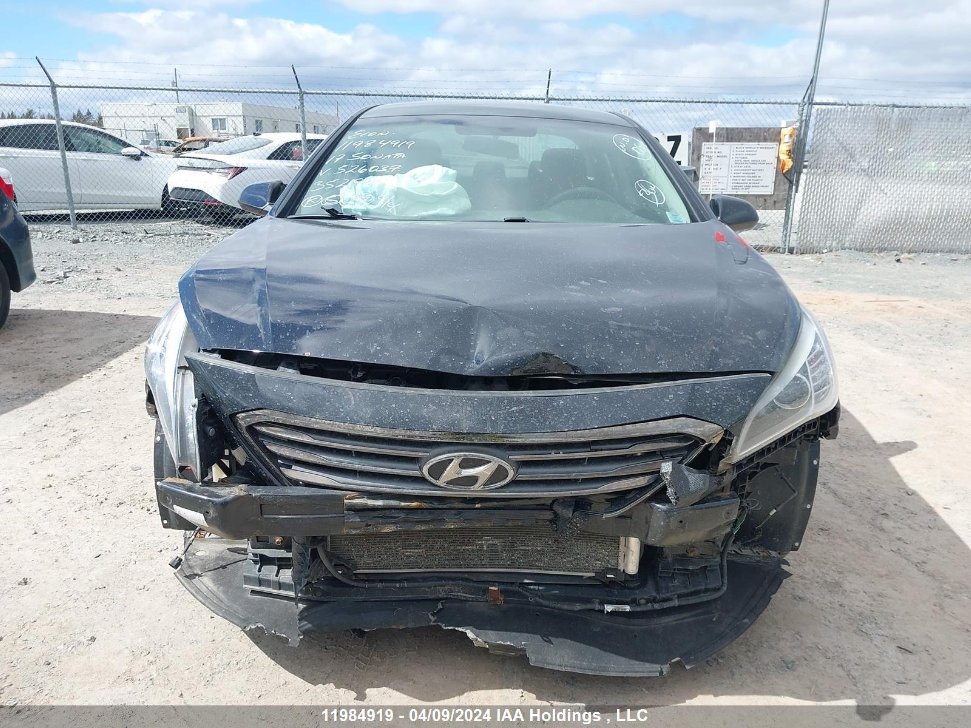 Photo 12 VIN: 5NPE24AF9HH526037 - HYUNDAI SONATA 