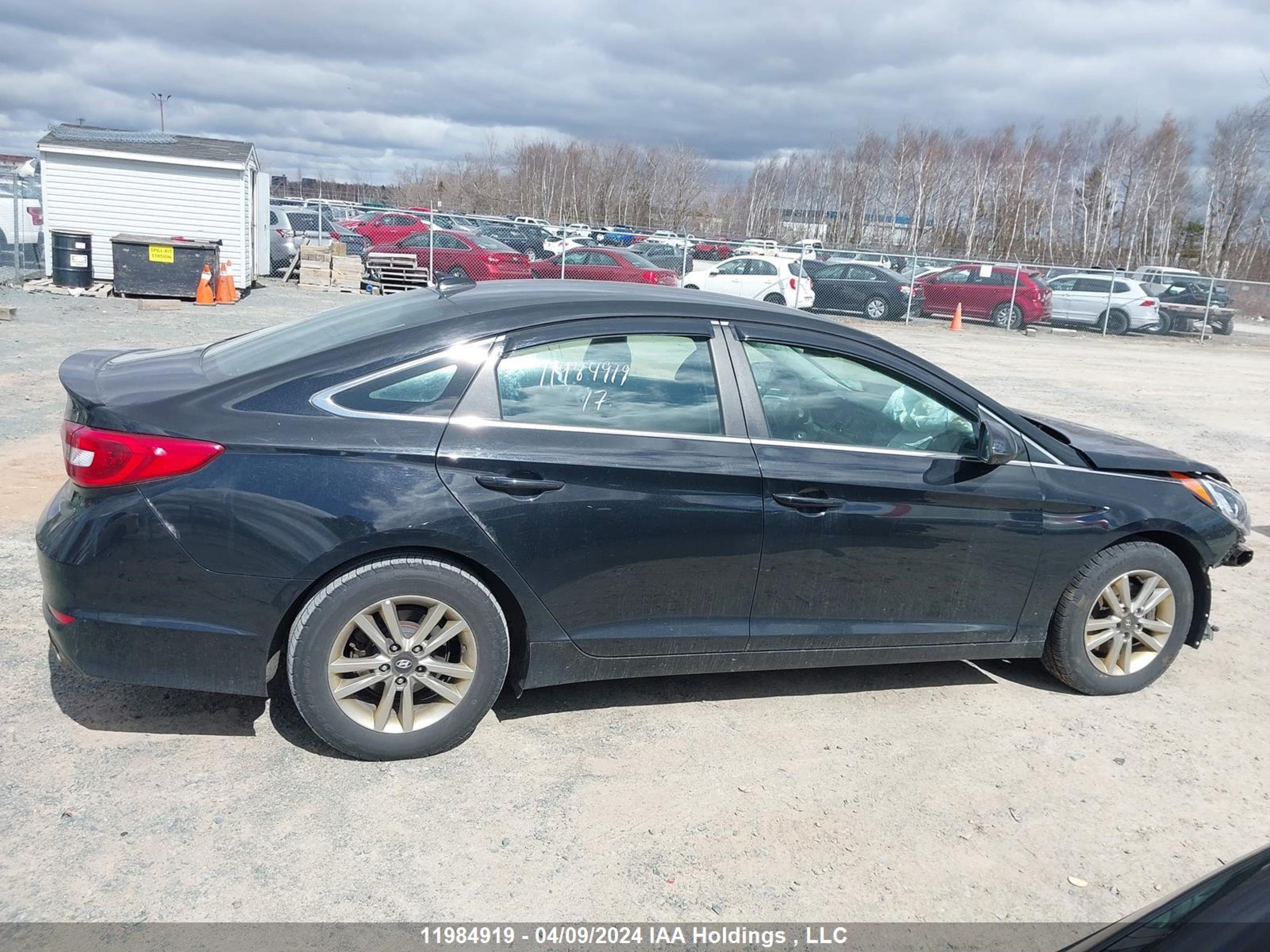 Photo 13 VIN: 5NPE24AF9HH526037 - HYUNDAI SONATA 