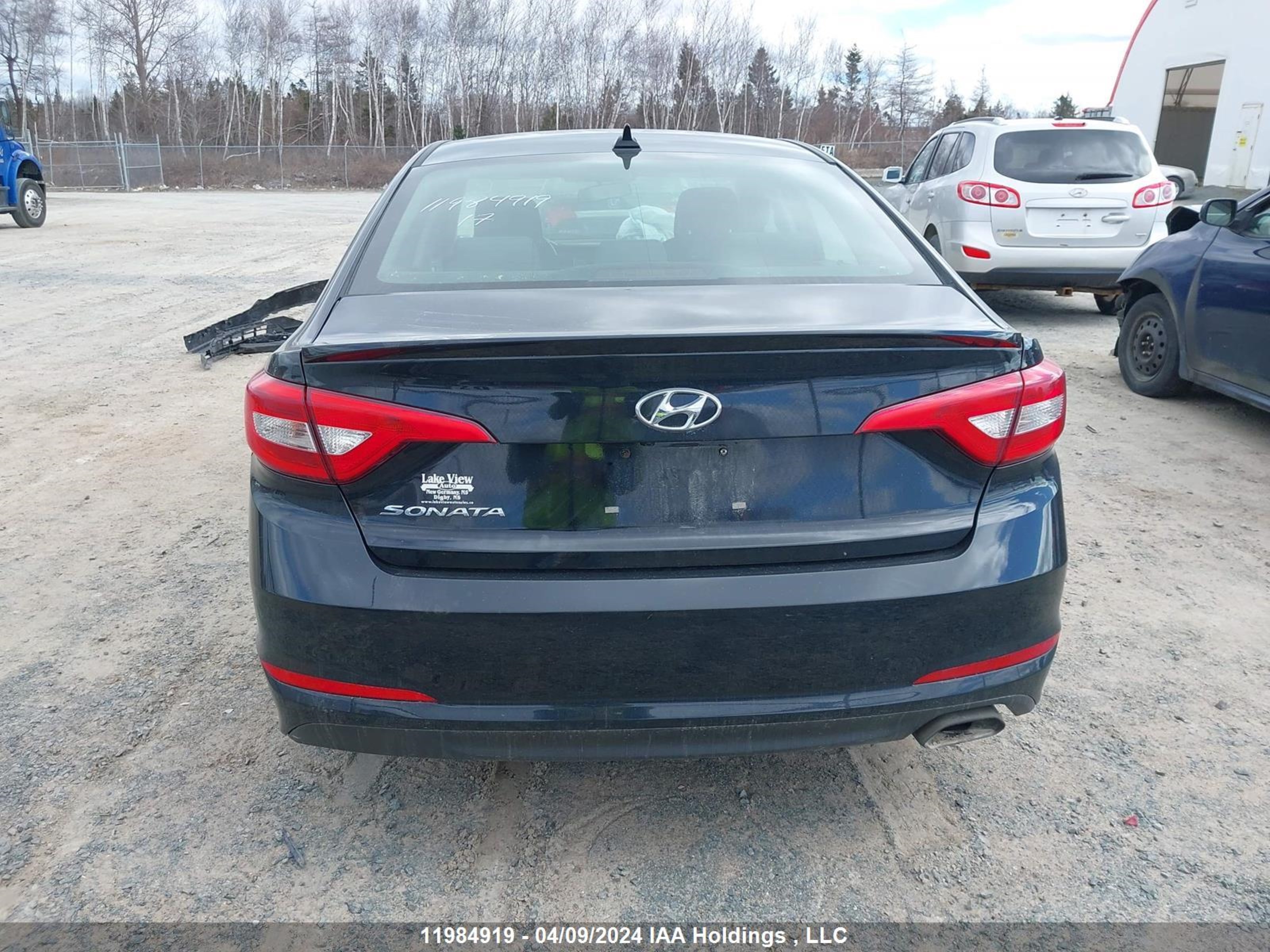 Photo 16 VIN: 5NPE24AF9HH526037 - HYUNDAI SONATA 