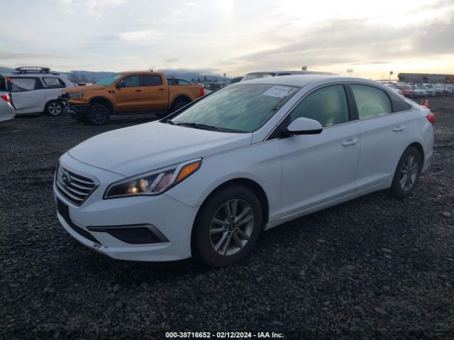 Photo 1 VIN: 5NPE24AF9HH529679 - HYUNDAI SONATA 