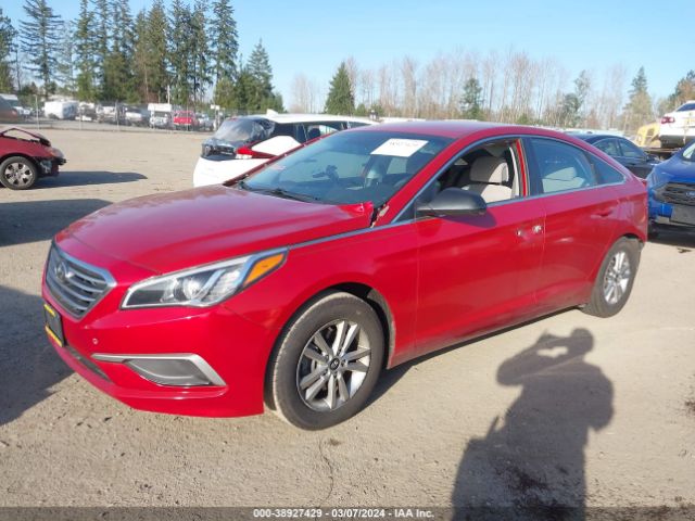 Photo 1 VIN: 5NPE24AF9HH531268 - HYUNDAI SONATA 