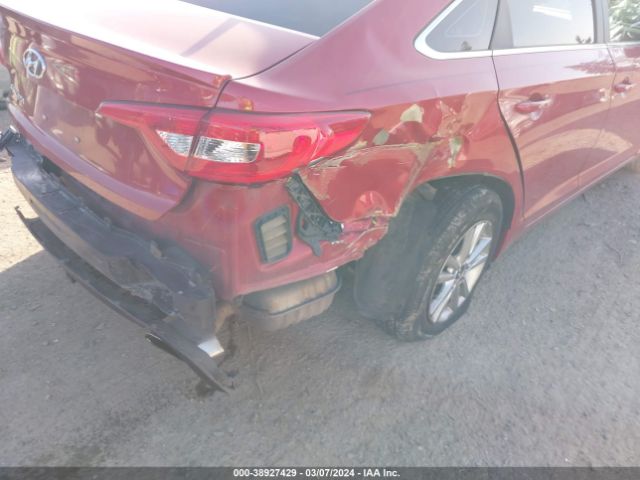 Photo 5 VIN: 5NPE24AF9HH531268 - HYUNDAI SONATA 