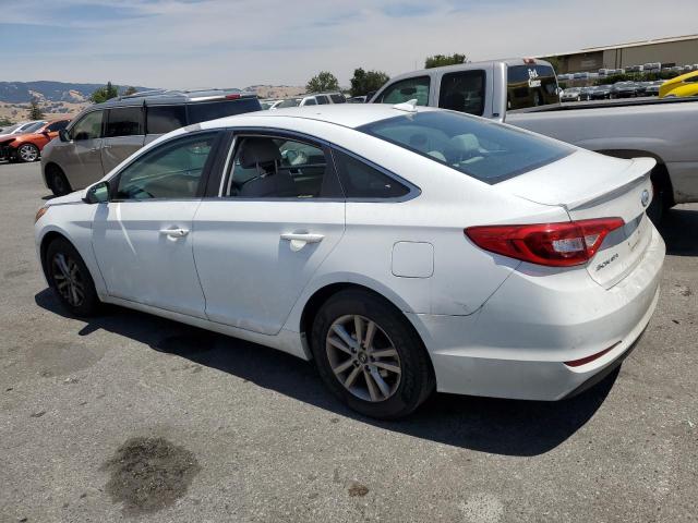 Photo 1 VIN: 5NPE24AF9HH542920 - HYUNDAI SONATA 