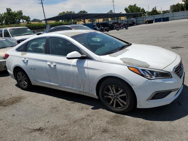 Photo 3 VIN: 5NPE24AF9HH542920 - HYUNDAI SONATA 