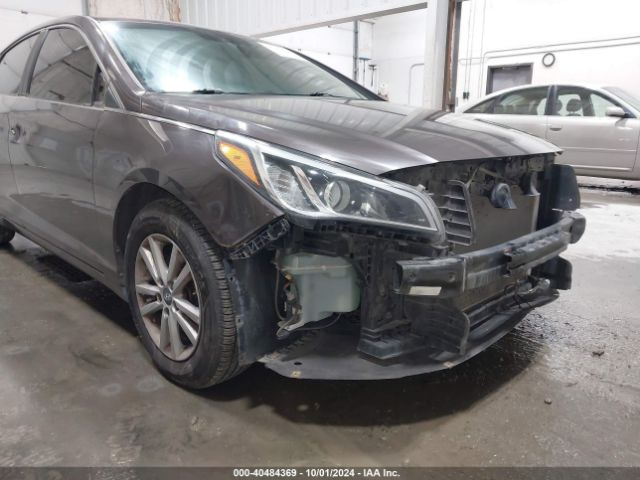 Photo 5 VIN: 5NPE24AF9HH542996 - HYUNDAI SONATA 