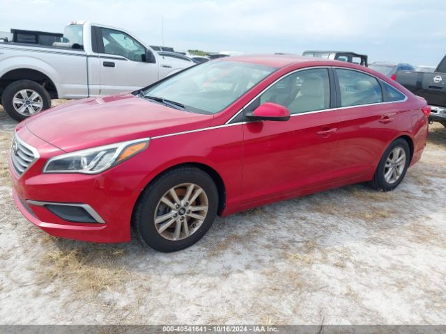 Photo 1 VIN: 5NPE24AF9HH544134 - HYUNDAI SONATA 