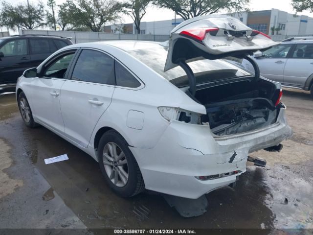 Photo 2 VIN: 5NPE24AF9HH559118 - HYUNDAI SONATA 