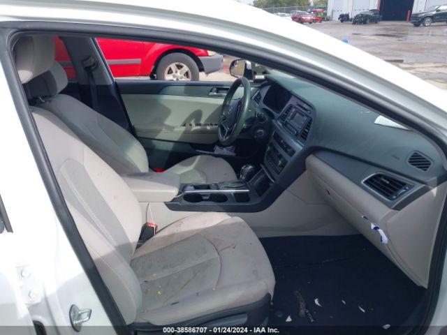 Photo 4 VIN: 5NPE24AF9HH559118 - HYUNDAI SONATA 