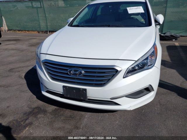 Photo 5 VIN: 5NPE24AF9HH559569 - HYUNDAI SONATA 