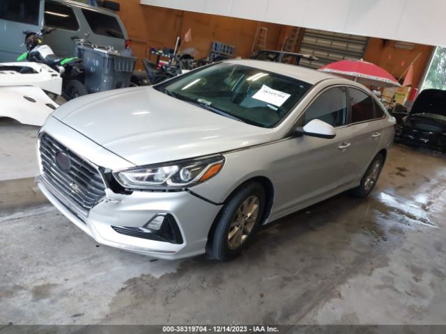 Photo 1 VIN: 5NPE24AF9JH597843 - HYUNDAI SONATA 