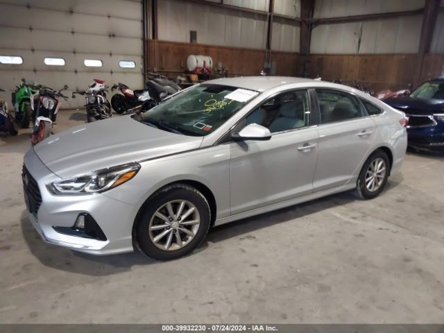 Photo 1 VIN: 5NPE24AF9JH662349 - HYUNDAI SONATA 