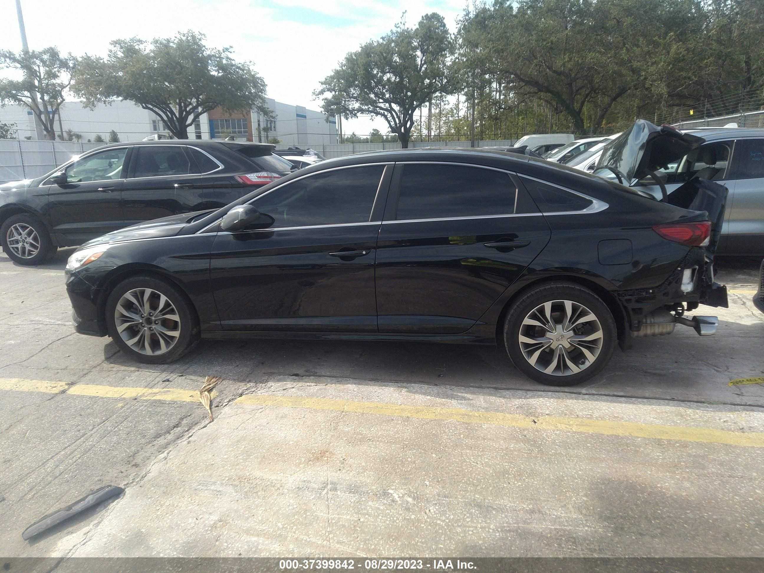 Photo 12 VIN: 5NPE24AF9JH667437 - HYUNDAI SONATA 