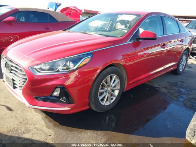 Photo 1 VIN: 5NPE24AF9JH690104 - HYUNDAI SONATA 