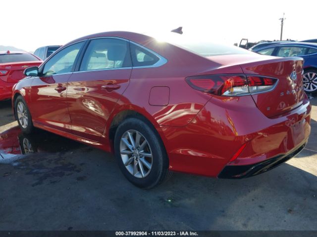 Photo 2 VIN: 5NPE24AF9JH690104 - HYUNDAI SONATA 