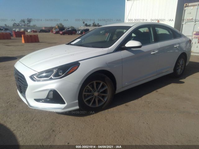 Photo 1 VIN: 5NPE24AF9JH698980 - HYUNDAI SONATA 