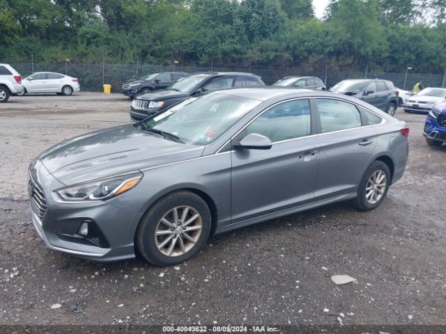 Photo 1 VIN: 5NPE24AF9JH702266 - HYUNDAI SONATA 